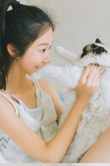 肥猫寻亲记之明天会更好